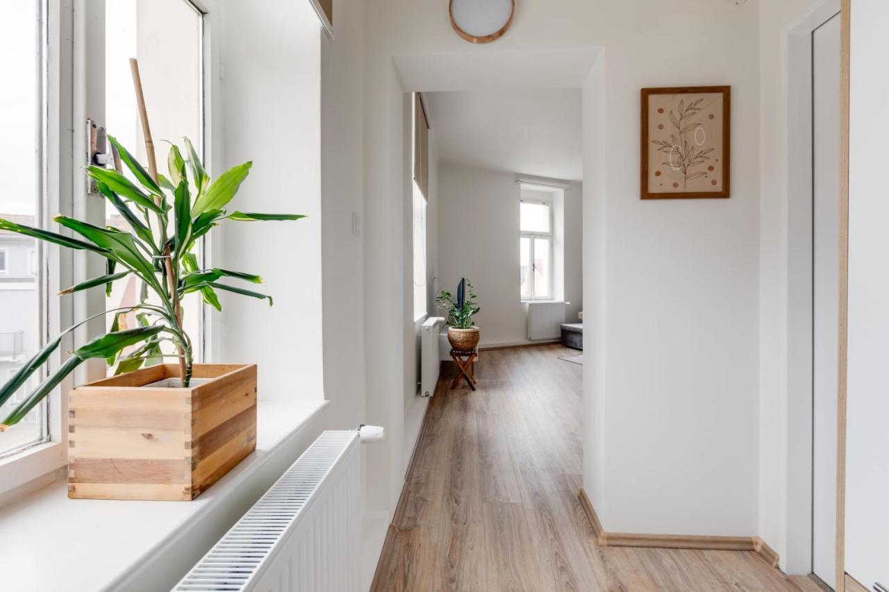 Modern, Bright And Spacious Apartment 布拉格 外观 照片