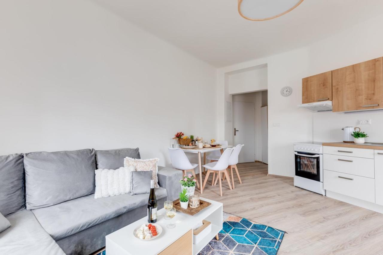 Modern, Bright And Spacious Apartment 布拉格 外观 照片
